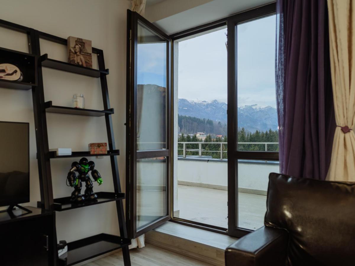 Ferienwohnung Panoramic Loft Colina Marei Sinaia Exterior foto