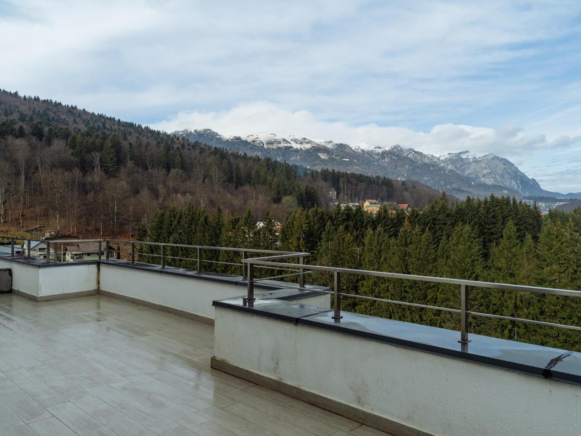 Ferienwohnung Panoramic Loft Colina Marei Sinaia Exterior foto