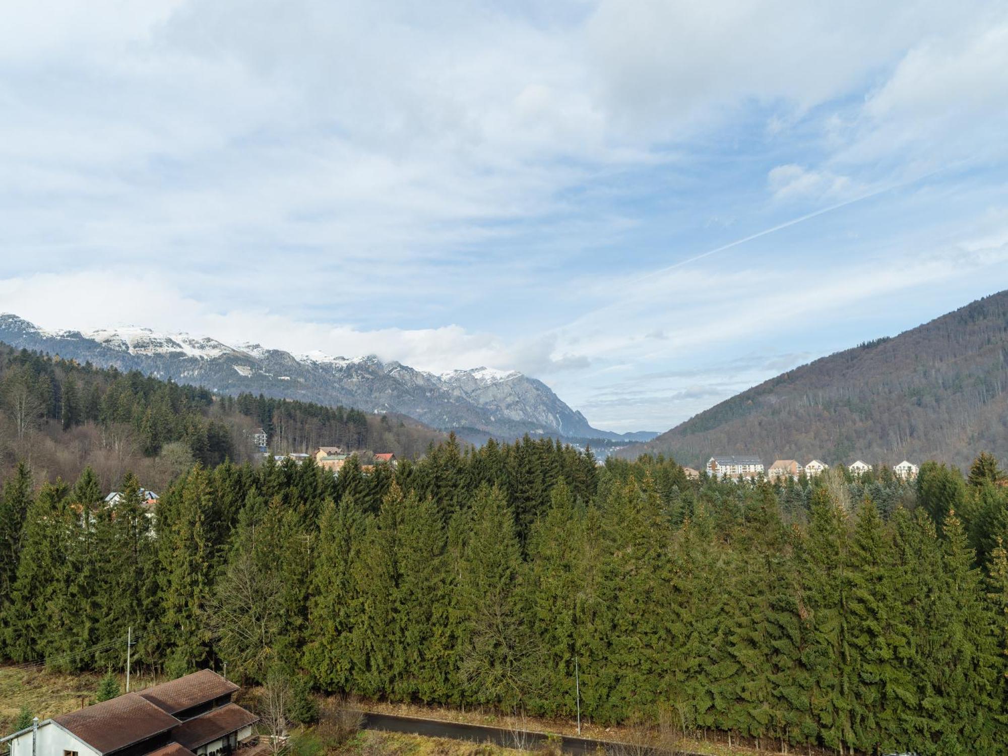 Ferienwohnung Panoramic Loft Colina Marei Sinaia Exterior foto